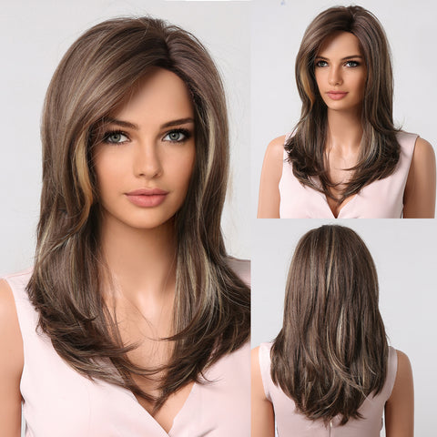 Haircube 22 Inch Brown with Gray Layered Straight Wig Heat Resistant Synthetic Wig for Women Natural Comfortable Fashion Party Diy Daily LC1002-3