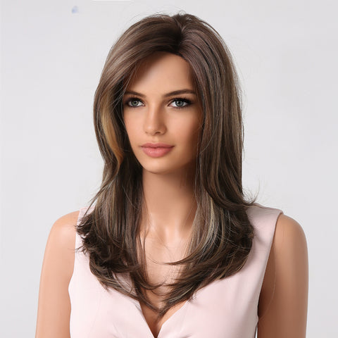 Haircube 22 Inch Brown with Gray Layered Straight Wig Heat Resistant Synthetic Wig for Women Natural Comfortable Fashion Party Diy Daily LC1002-3