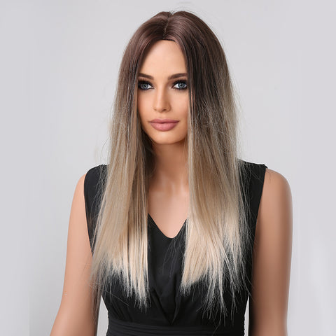 Haircube 22 Inch Light Brown to Gray Highlight Long Straight Wig Middle Part Heat Resistant Synthetic Wig for Women Natural Comfortable Fashion Party Diy Daily LC1005-1