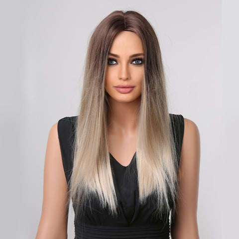 Haircube 22 Inch Light Brown to Gray Highlight Long Straight Wig Middle Part Heat Resistant Synthetic Wig for Women Natural Comfortable Fashion Party Diy Daily LC1005-1